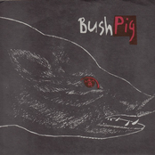 Bushpig 7''