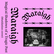 Magical Shadows of a Tragic Past