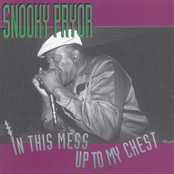 Can I Get A Witness by Snooky Pryor