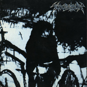 El Vuelo de las Almas