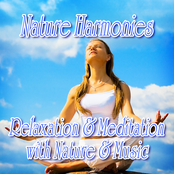 Nature Harmonies: Relaxation and Meditation with Music and Nature