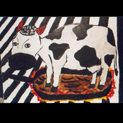 Cow on the frying pan