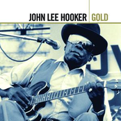 It's My Own Fault by John Lee Hooker