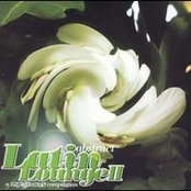 Abstract Latin Lounge, Vol. 2