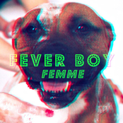 fever boy/heartbeat