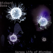 SERENE LIFE OF MICROBES Album Picture