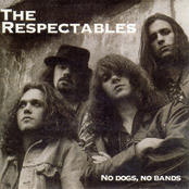 No Dogs, No Bands