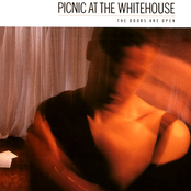 Eternal by Picnic At The Whitehouse