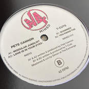 N4 & Mined Records collab (N410 -MINED14)