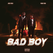 Bad Boy