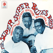 The Super Super Blues Band