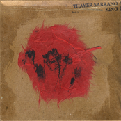 I Hear The Same Song by Thayer Sarrano