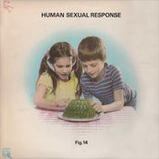 Human Sexual Response: Fig. 14