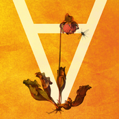 ∀