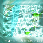 imago(2)