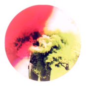 suck on this, pill bopper