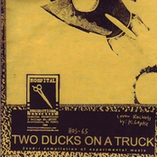 Two Ducks On A Truck