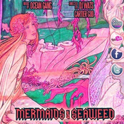 Mermaids & Seaweed