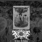 Xasthur: To Violate The Obvious