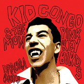 Hitchhiking by Kid Congo & The Pink Monkey Birds