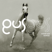 Gusgus: Arabian Horse