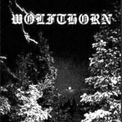 Wizard Of Black Winds