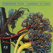 Tomorrows Tulips: Harnessed to Flesh