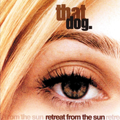 That Dog: Retreat From the Sun