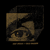 Asaf Avidan: Gold Shadow