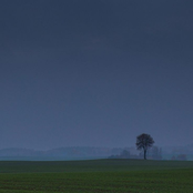 summer field from my memories