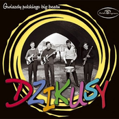 Gwiazdy polskiego big beatu