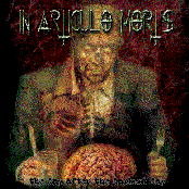 The Day After the Darkest Day