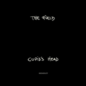 The Field: Cupid's Head