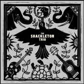 The Shackleton Trio