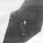 The Next From Field Commander