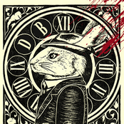 White Rabbit [Single]