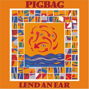 No Such Thing As by Pigbag