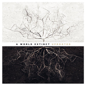 Uprooted