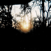 You Will Never Be Lonely Again