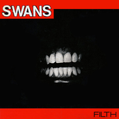 Take Advantage by Swans