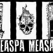 Failte Mo Thoin by Easpa Measa