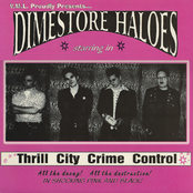 Thrill City Crime Control