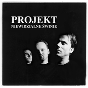 Projekt Niewidzialne Swinie 1st Album