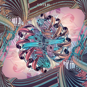 What You Need It For