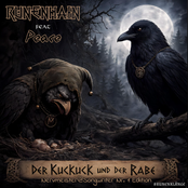 Der Kuckuck und der Rabe