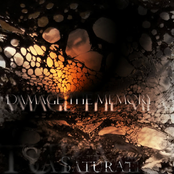 Damage the Memory - EP