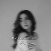 Wake Me Up