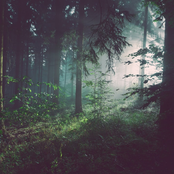 𝘧𝘢𝘳 𝘪𝘯 𝘵𝘩𝘦𝘳𝘦