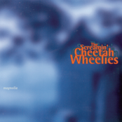 Gypsy Lullaby by The Screamin' Cheetah Wheelies