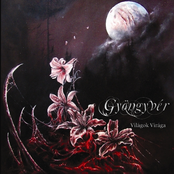 Gyöngyvér - Flower of Worlds